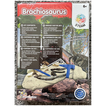 Brachiosaurus Fossil Excavation
