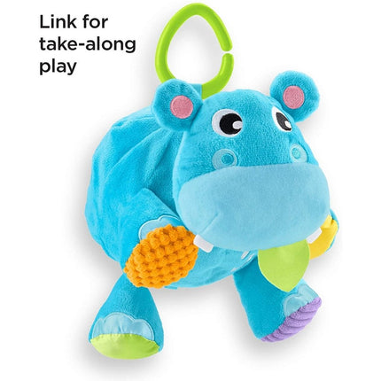 Fisher Price Have A Ball Hippo